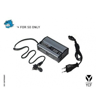 YCF 50E Ladegerät YC50-1514-02